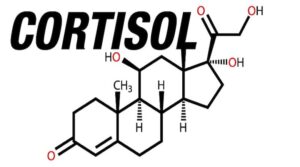 cortisolo dieta chetogenica