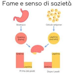 leptina e grelina dieta chetogenica roma